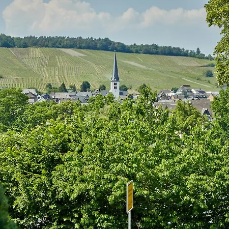 Hébergement de vacances Haus An Der Mosel *